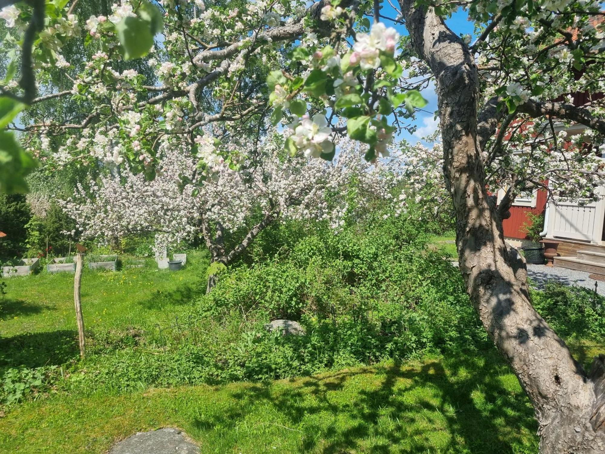 Saellinge House - Cozy Villa With Fireplace And Garden Close To Упсала Екстериор снимка